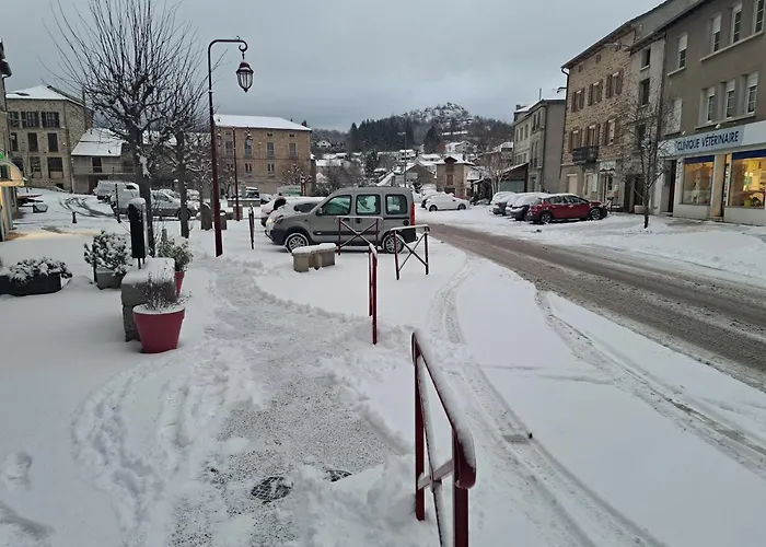 Le Barriol Отель Saint-Julien-Chapteuil